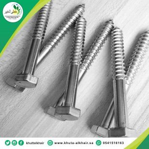 مسمار دش 12 مل * 6 سم